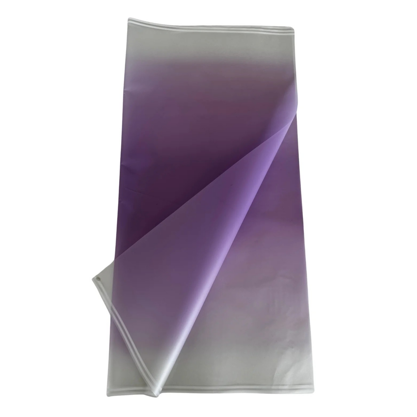 Cellophane Flower Wrap: Transparent Purple With White Border (Pack of 20)