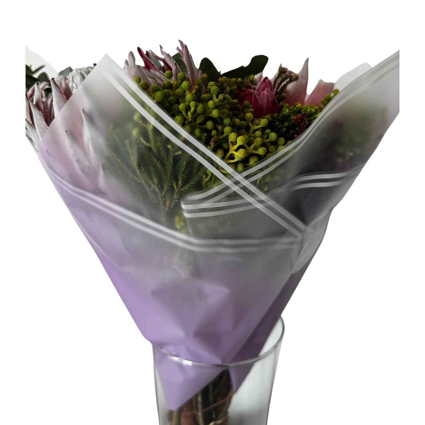Cellophane Flower Wrap: Transparent Purple With White Border (Pack of 20)