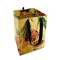 Blumenstrauß-Box 1 – Protea (20er-Pack)