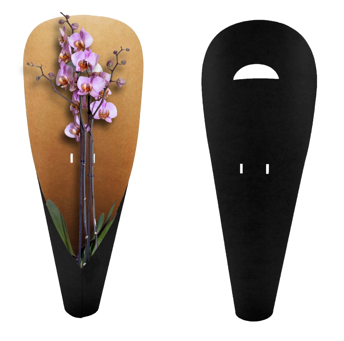 Orchideen-Tragetasche – Schwarz (20er-Pack)