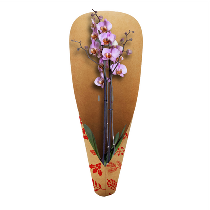 Orchideen-Tragetasche – Tannenzapfenrot (20er-Pack)