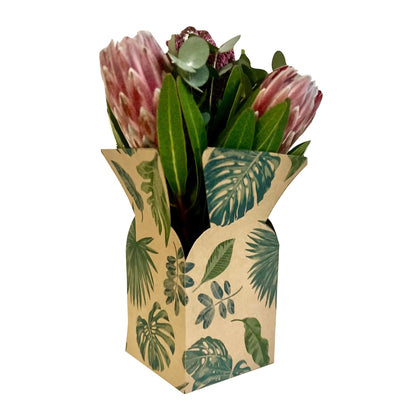 Boîte à bouquets botanique (paquet de 20)