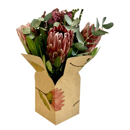 Blumenstraußbox – Fynbos (20er-Pack)