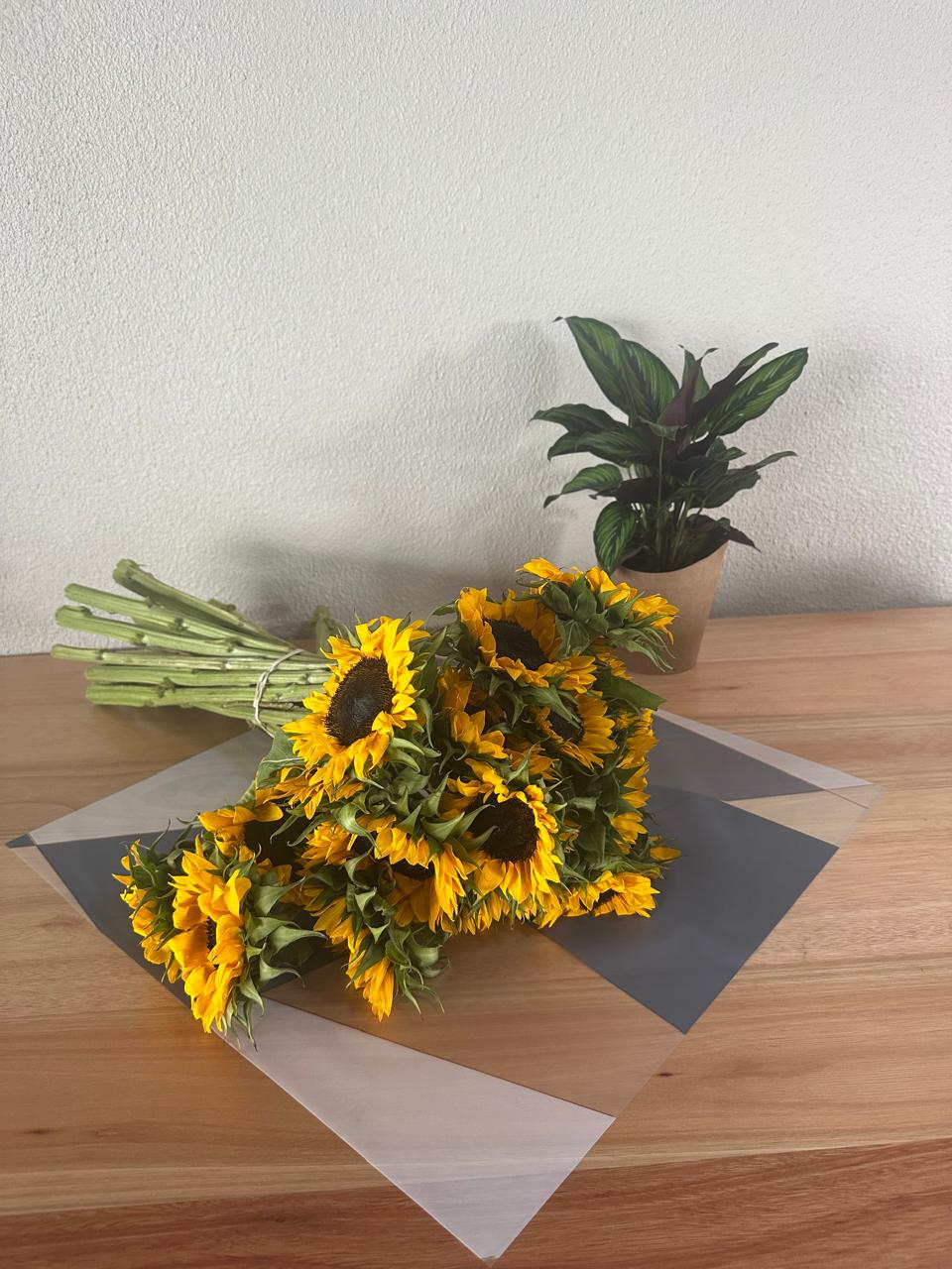 Emballage cellophane pour fleurs : deux tons gris et blanc, bordure dorée (paquet de 20)