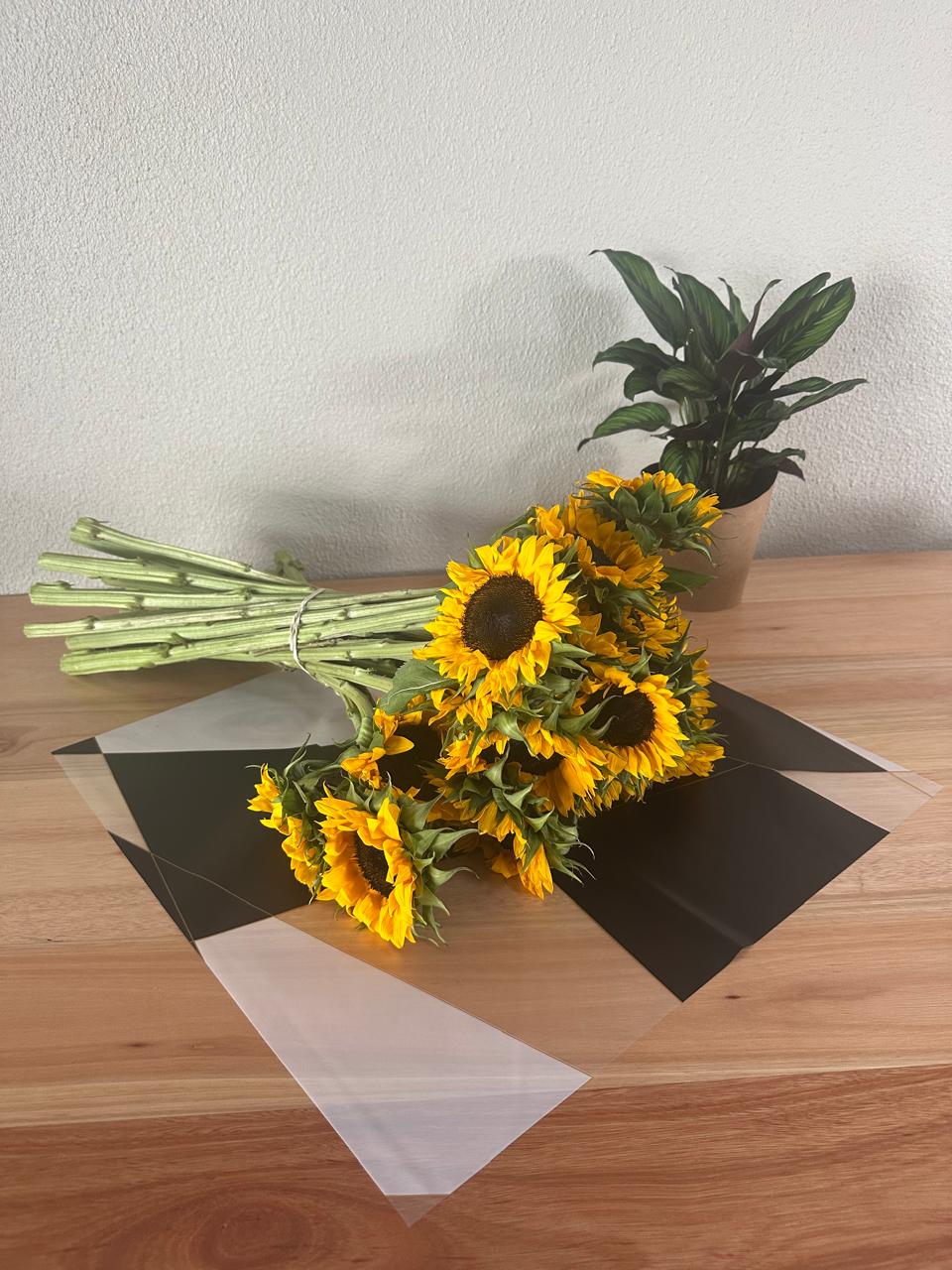 Zellophan-Blumenverpackung: Zweifarbiger schwarz-weißer Goldrand (20er-Packung)