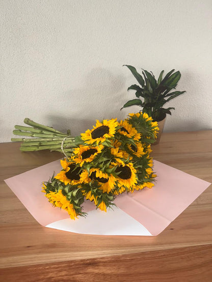 Zellophan-Blumenverpackung: Zweifarbig Hellrosa &amp; Weiß (20er-Packung)