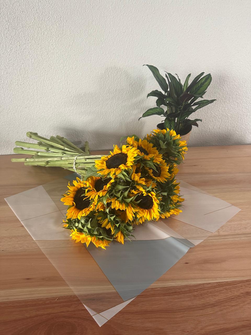 Emballage cellophane pour fleurs : abricot bicolore et bordure or blanc (paquet de 20)