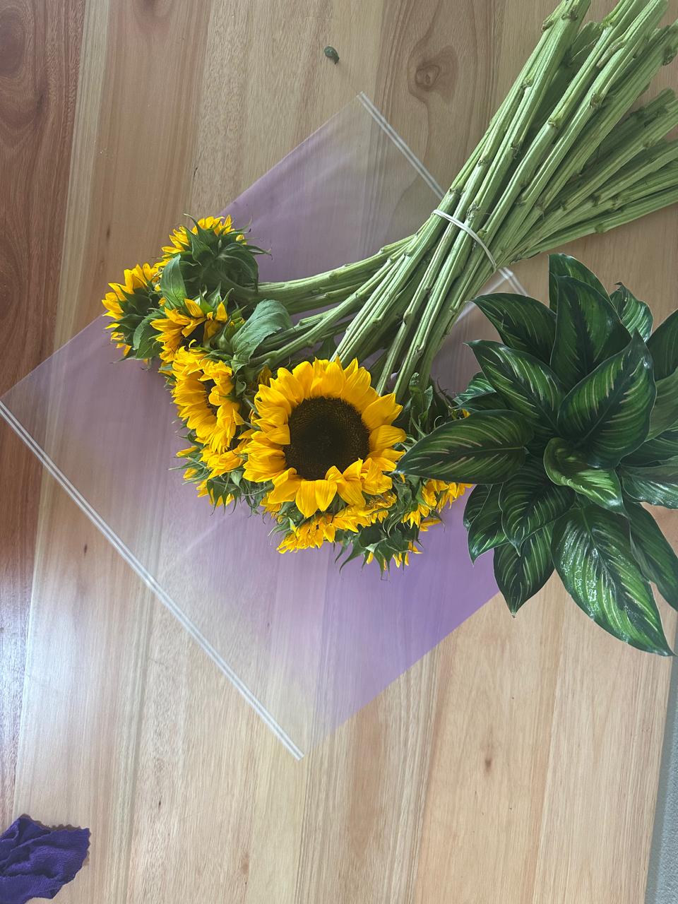 Cellophane Flower Wrap: Transparent Purple With White Border (Pack of 20)
