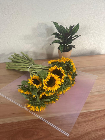 Zellophan-Blumenverpackung: Transparentes Dunkelrosa mit weißem Rand (20 Stück)
