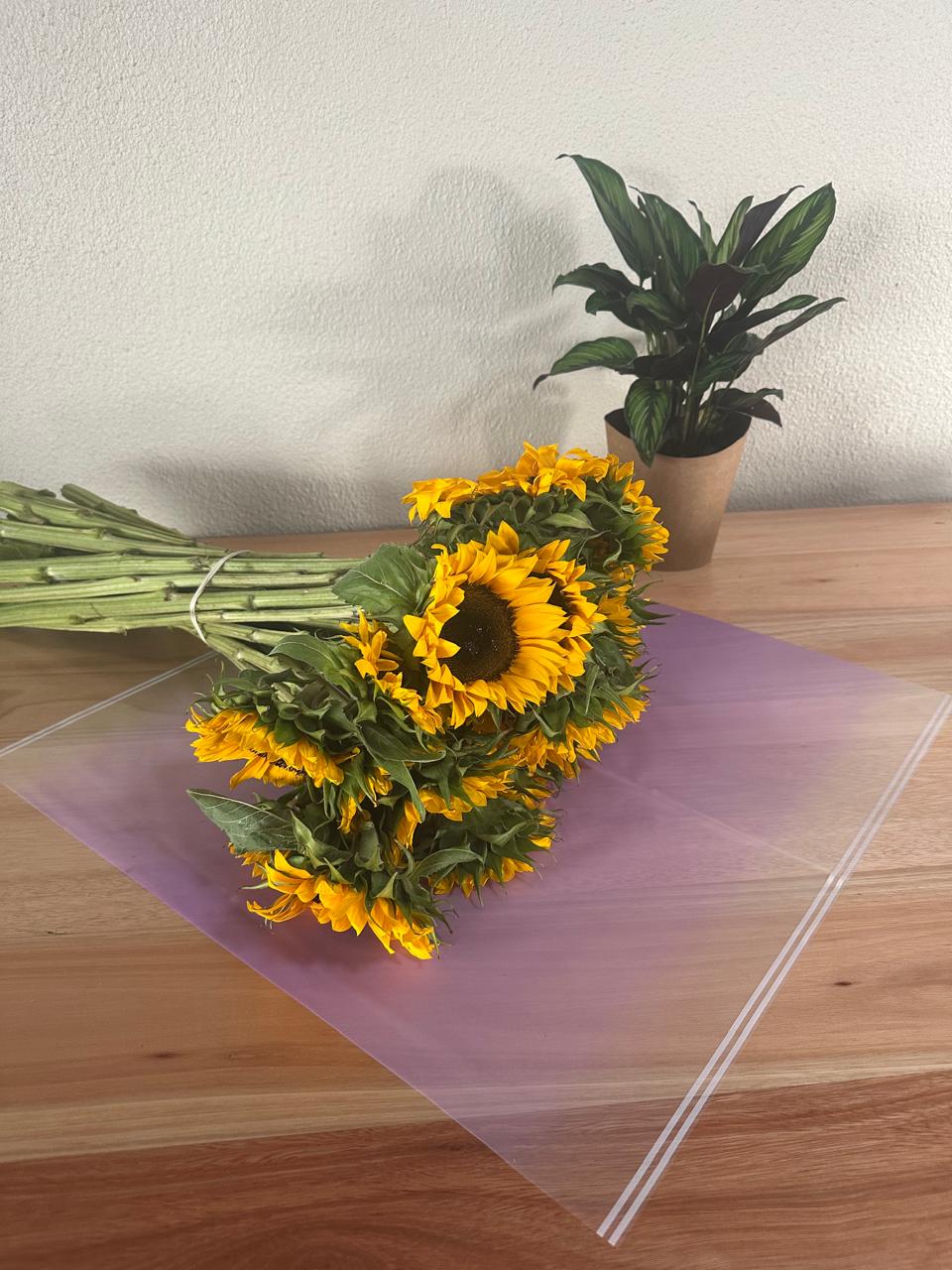 Cellophane Flower Wrap: Transparent Purple With White Border (Pack of 20)