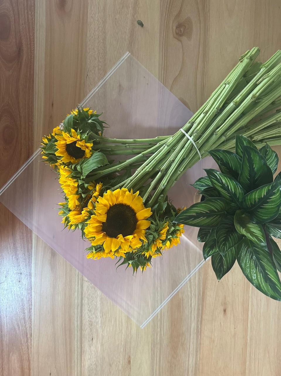 Zellophan-Blumenverpackung: Transparentes Dunkelrosa mit weißem Rand (20 Stück)