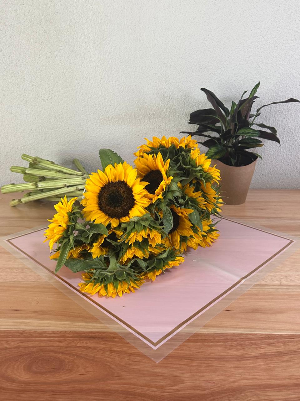 Zellophan-Blumenverpackung: Transparentes Rosa mit roségoldenem Rand (20er-Pack)