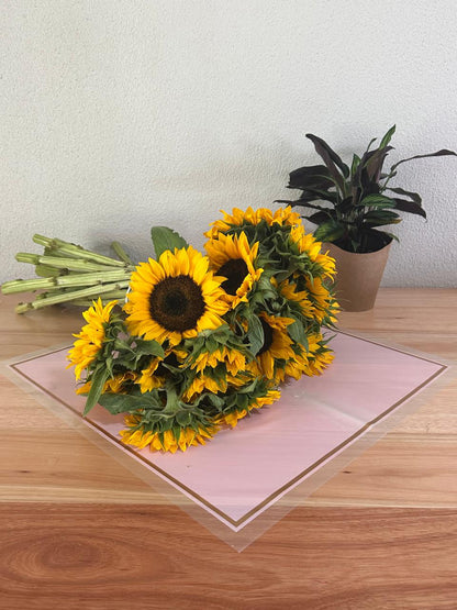Zellophan-Blumenverpackung: Transparentes Rosa mit roségoldenem Rand (20er-Pack)