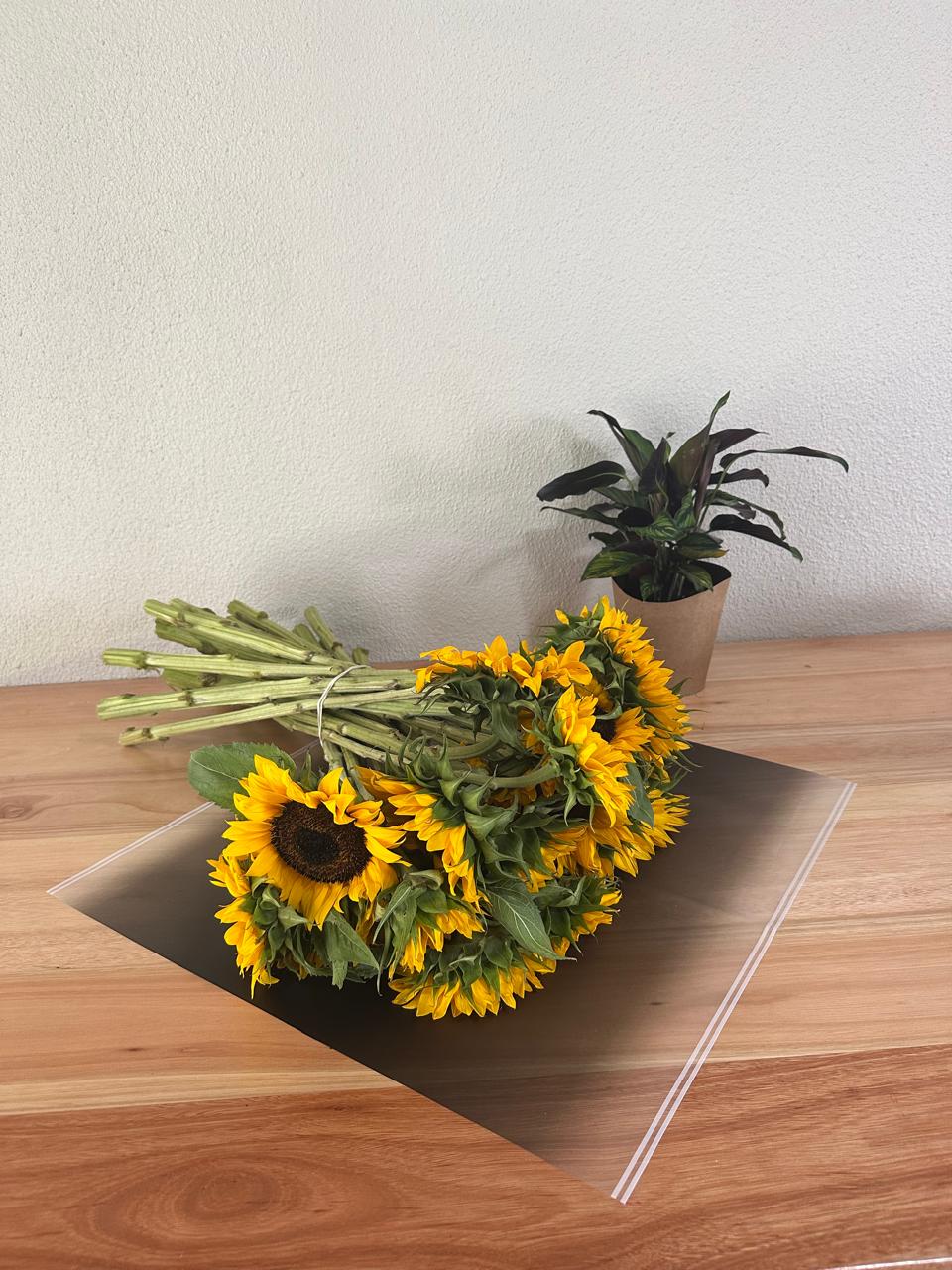 Zellophan-Blumenverpackung: Transparent Schwarz mit weißem Rand (20 Stück)