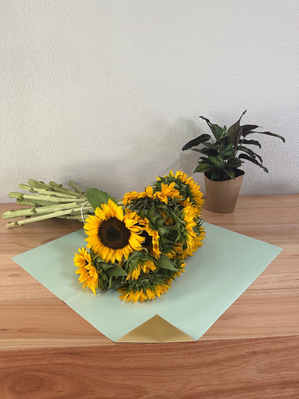 Zellophan-Blumenverpackung: Zweifarbiges Salbeigrün und Gold (20er-Packung)