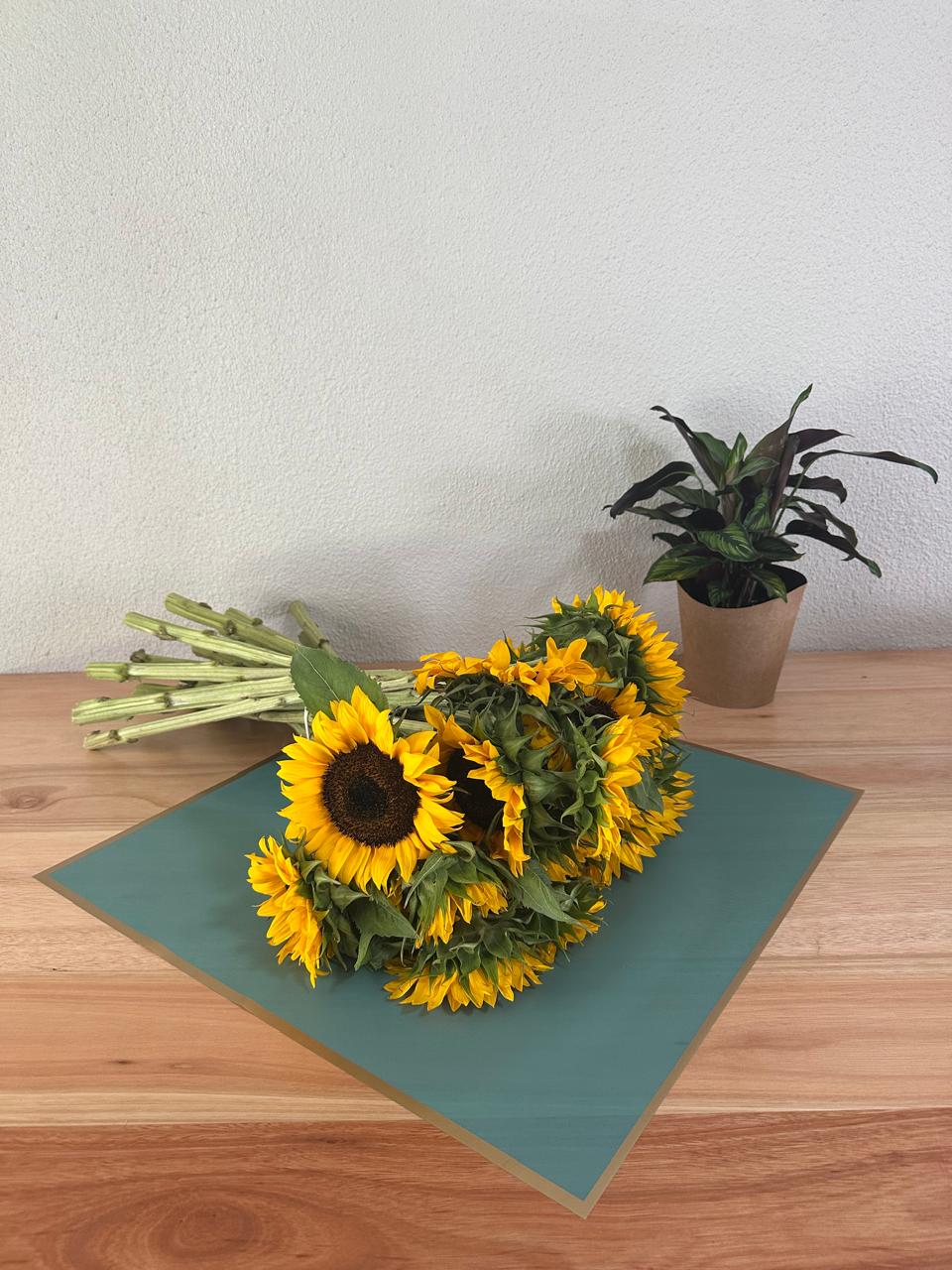 Emballage cellophane pour fleurs : turquoise foncé semi-transparent avec bordure dorée (paquet de 20)