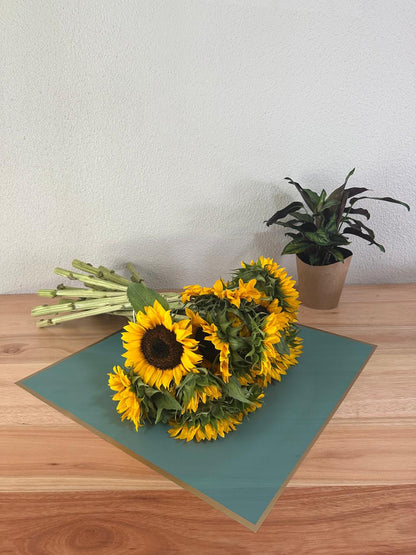 Emballage cellophane pour fleurs : turquoise foncé semi-transparent avec bordure dorée (paquet de 20)