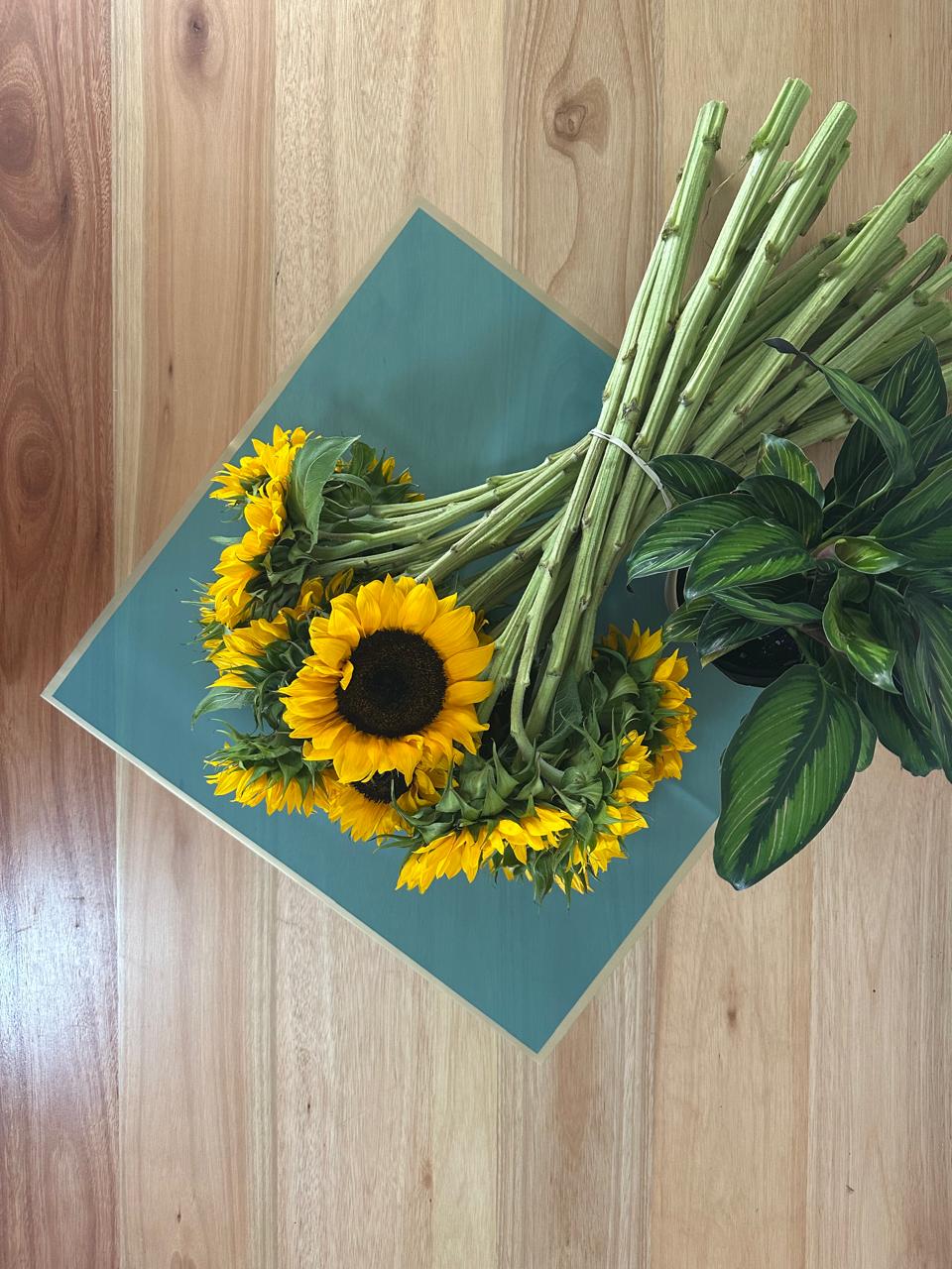 Emballage cellophane pour fleurs : turquoise foncé semi-transparent avec bordure dorée (paquet de 20)