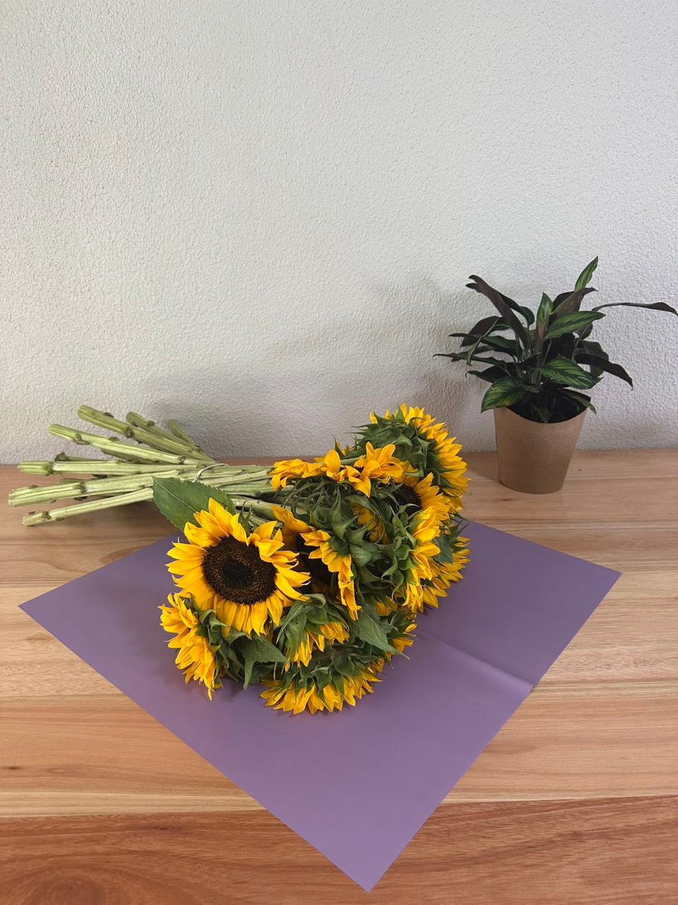 Cellophane Flower Wrap: Transparent Light Purple (Pack of 20)