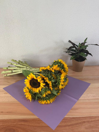 Cellophane Flower Wrap: Transparent Light Purple (Pack of 20)