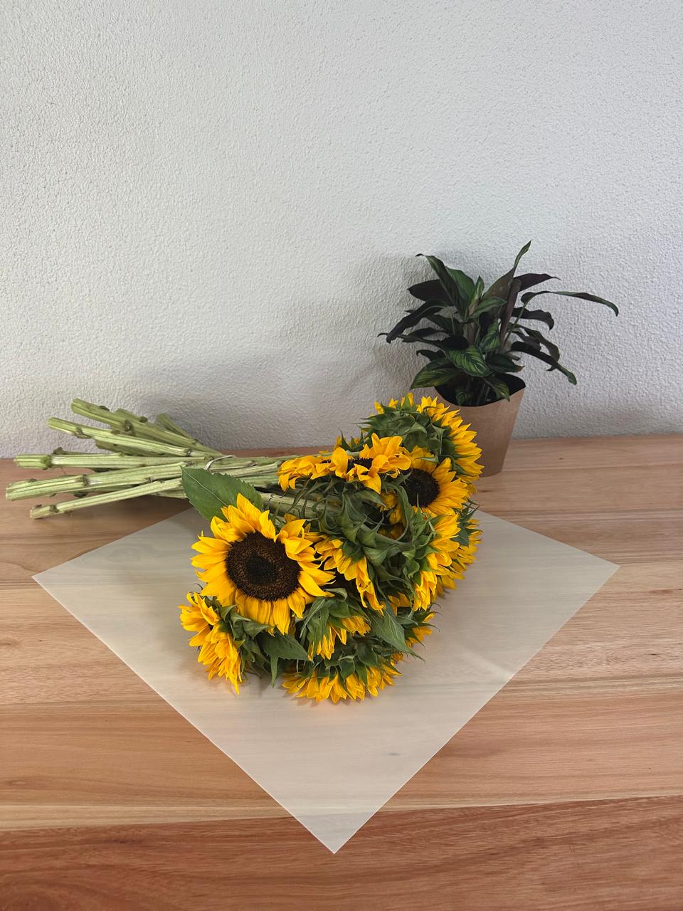 Cellophan-Blumenverpackung: Transparent Hellgelb (20 Stück)