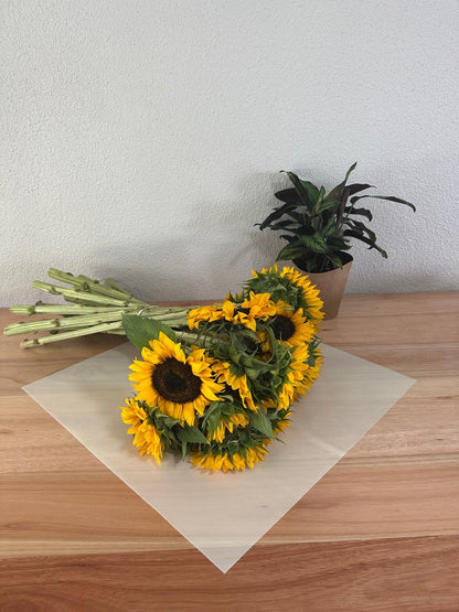 Cellophan-Blumenverpackung: Transparent Hellgelb (20 Stück)