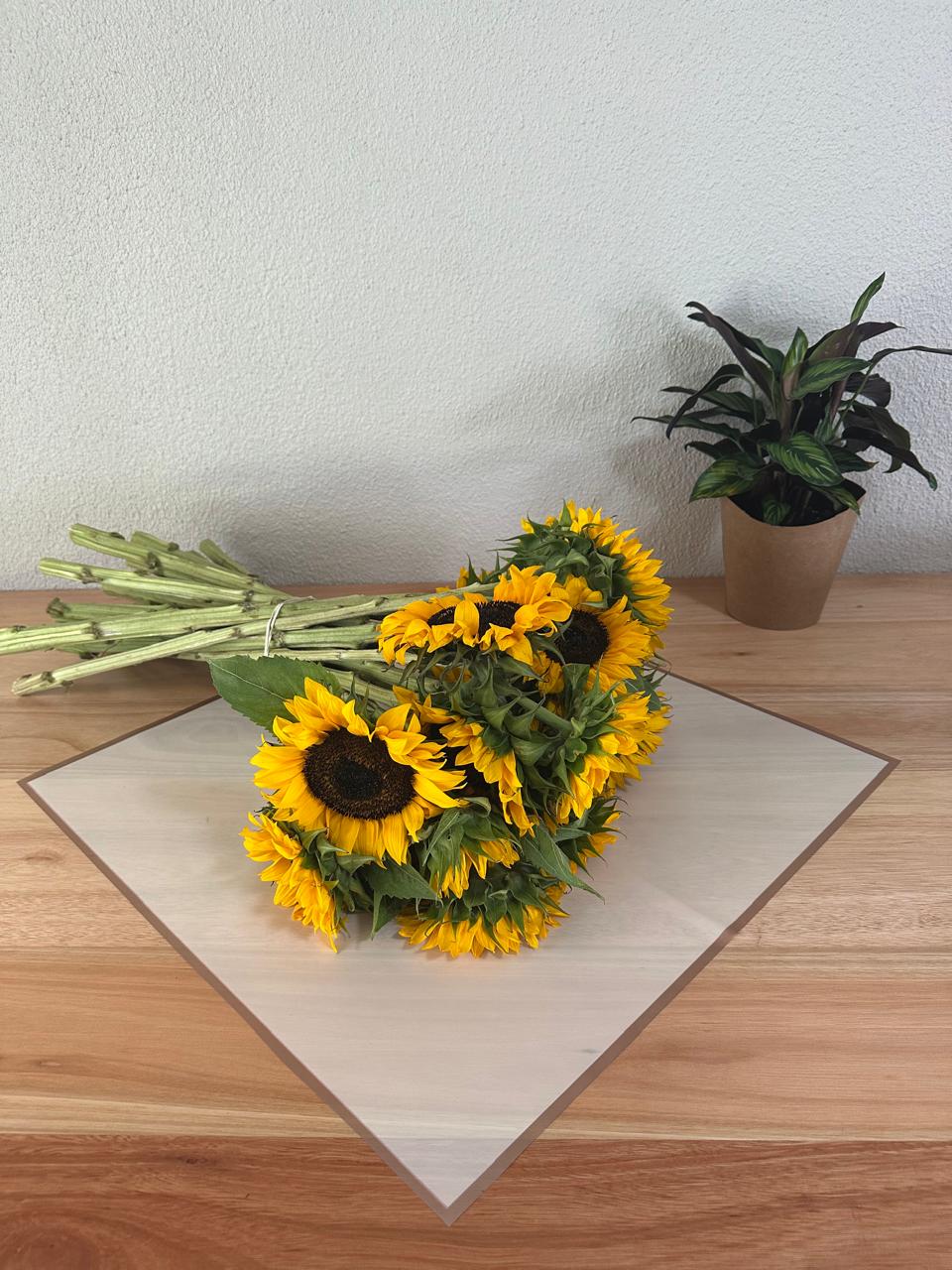 Emballage cellophane pour fleurs : jaune avec bordure dorée (paquet de 20)