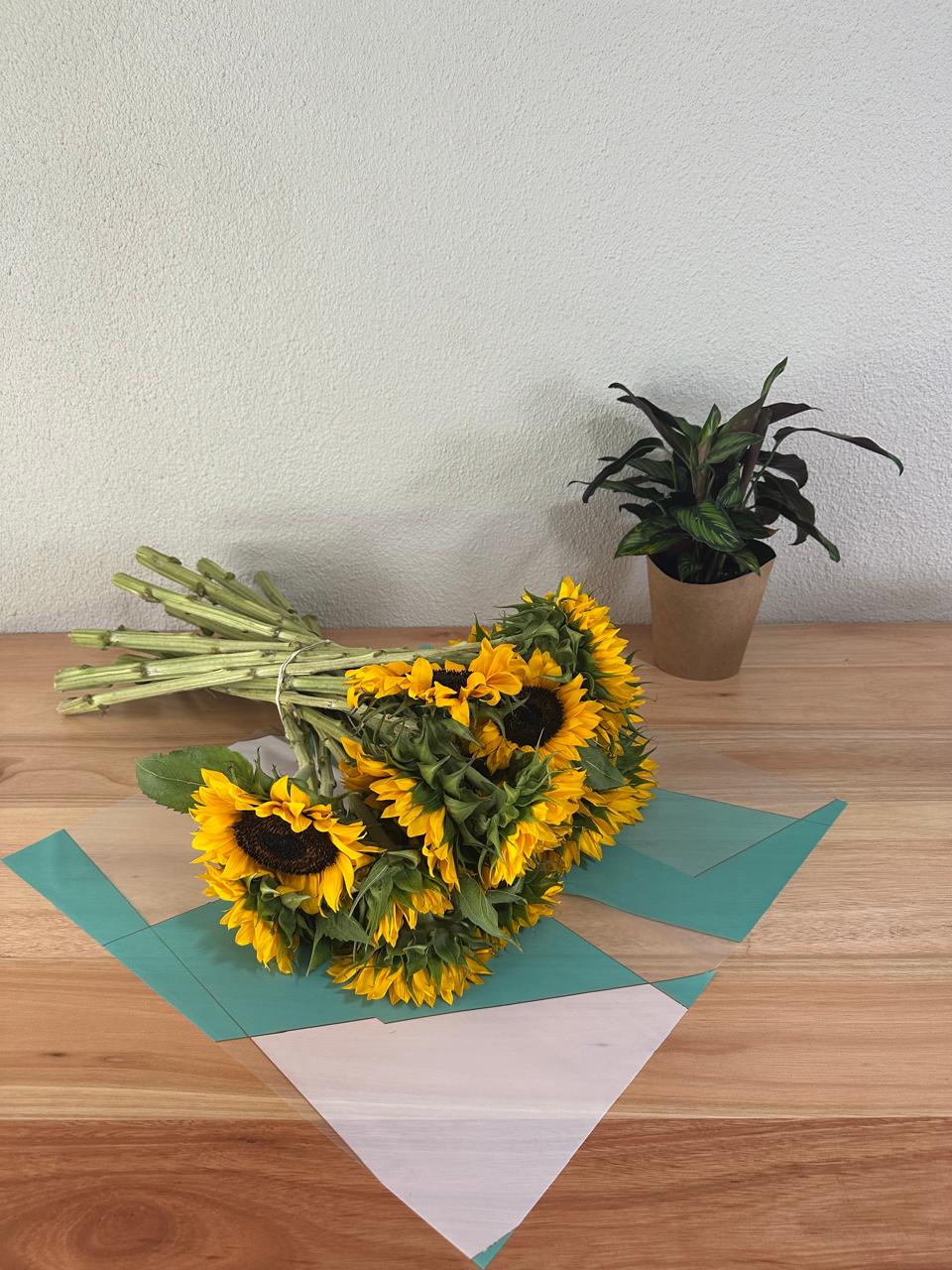 Zellophan-Blumenverpackung: Zweifarbiger Grün- und Weißgoldrand (20er-Packung)