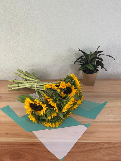 Zellophan-Blumenverpackung: Zweifarbiger Grün- und Weißgoldrand (20er-Packung)