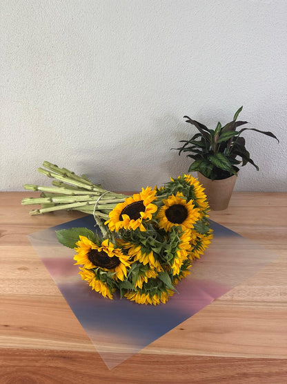 Zellophan-Blumenverpackung: Altrosa und Dunkelblau (20er-Pack)