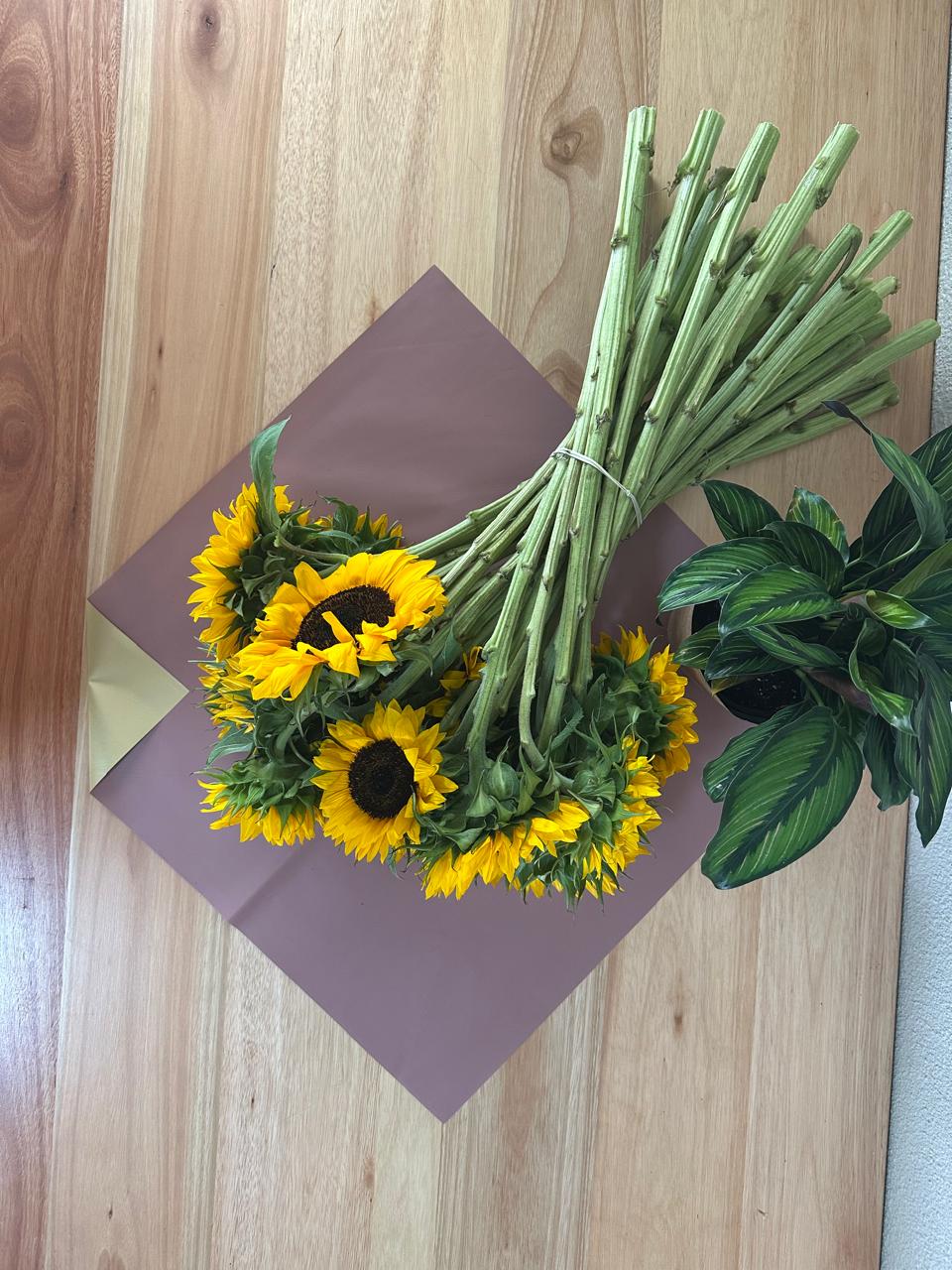 Cellophane Flower Wrap: Two Tone Cardinal & Gold (Pack of 20)