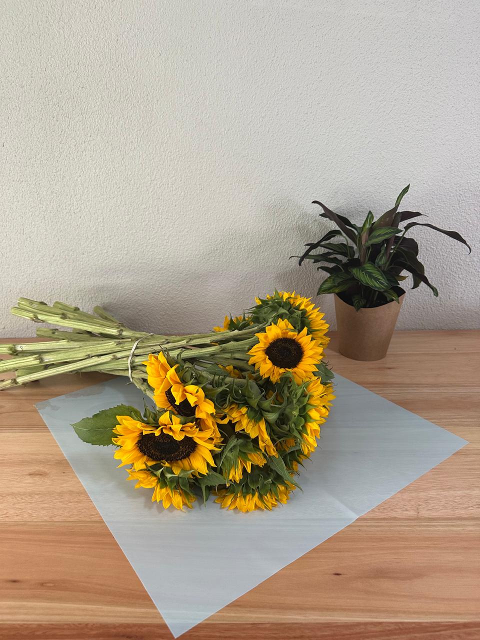 Cellophane Flower Wrap: Transparent Light Blue (Pack of 20)