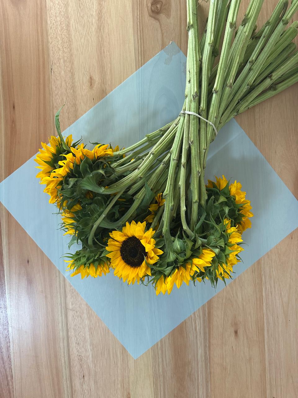 Cellophane Flower Wrap: Transparent Light Blue (Pack of 20)