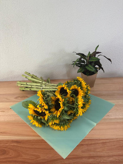 Zellophan-Blumenverpackung: Transparent Grün (20 Stück)